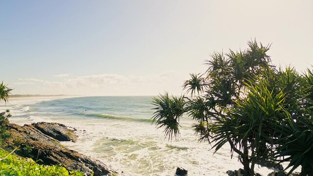 Rough waves behind Pandanus tree with Push in at end
