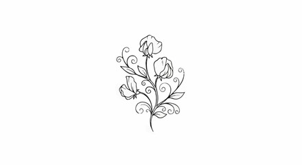 Fototapeta premium Delicate line art of sweet peas with swirling vines and leaves