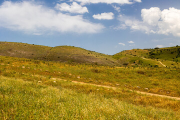 Fototapeta premium Travel and adventure in Israel. Northern Israel landscape with green hills, fields, and blooming wildflowers.