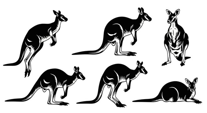 Set of Kangaroo Silhouettes in Various Poses