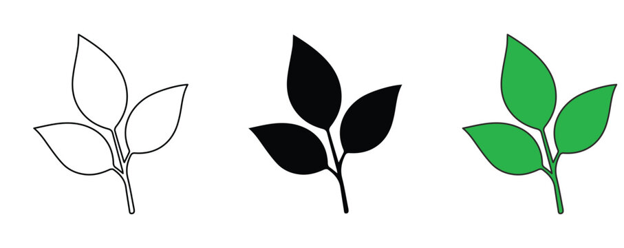 Minimalist leaf icons in three styles, green foliage silhouette and outline vector set, organic plant branch symbols for eco-friendly branding