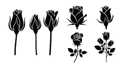 Elegant black rose arrangements in a striking floral silhouette © Hiron
