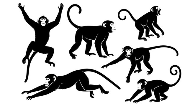 Set of Monkey Silhouettes in Various Poses