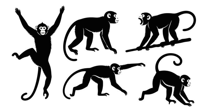 Set of Monkey Silhouettes in Various Poses
