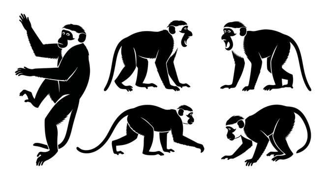 Set of Monkey Silhouettes in Various Poses