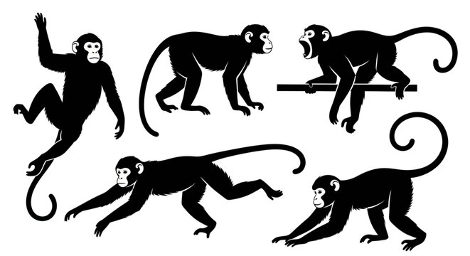 Set of Black Monkey Silhouettes in Various Poses