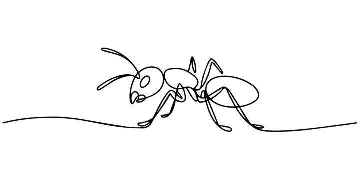 One line drawing of ant isolated on white background, Black ant in continuous one line drawing. Single line art draw of soldier ant. Editable vector, continuous line of ants.ants themselves walking in