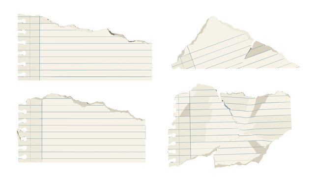 Set of torn paper pieces with lined paper textures