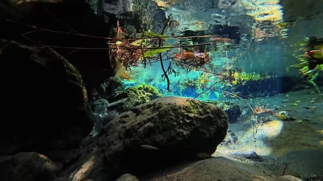 水中の竹崎水源