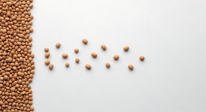 Top view of a pile of raw pinto beans on the left side and scattered beans on the right side isolated on white background
