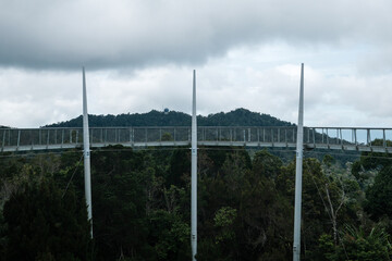 Obraz premium Long white bridge spans lush green forest. Cloudy sky looms above the hillside. Metal structure stands tall among trees. Nature and engineering blend in this view. No animals or plants are visible