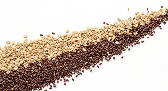 A diagonal composition of two types of grains, light beige pearl barley and dark brown roasted malt, separated by a clean line, isolated on white background