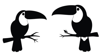 Obraz premium Two toucans perched on branches a striking black silhouette