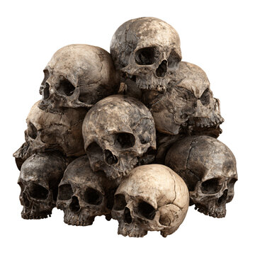 Professional High-Quality Pile of Skull Isolated on Transparent Background PNG for Design Projects