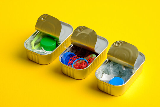 Plastic Waste in canned fish highlighting Microplastic risk