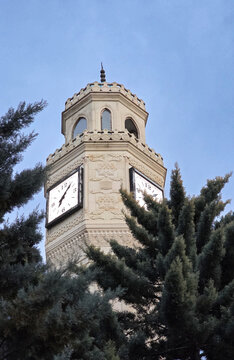 Historic clock tower framed by evergreen trees and sky