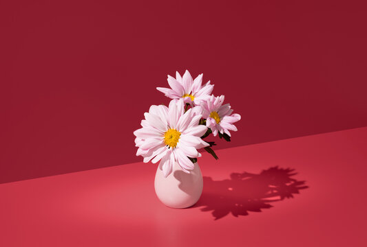 Pink chrysanthemum flowers in a soft pastel vase