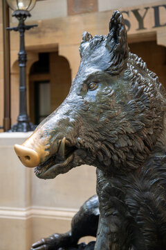 Close up of face of Il Porcellino, wild boar statue in front of Sydney Hospital