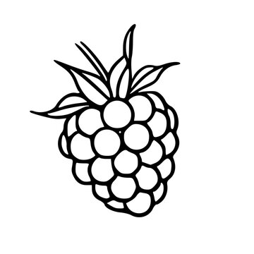 vintage style raspberry fruit element for kitchen and cafe decoration