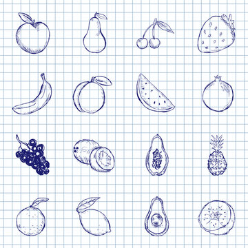 Blue Ink Sketch Set of Fruit Icons