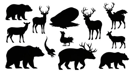 Collection of Black Animal Silhouettes on White Background. © Ardi