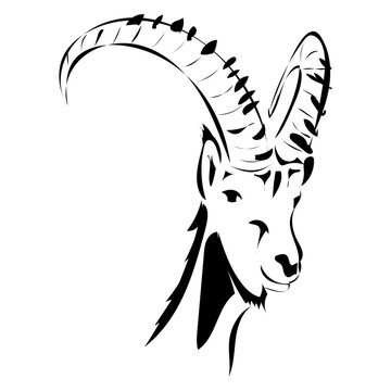 Steinbock