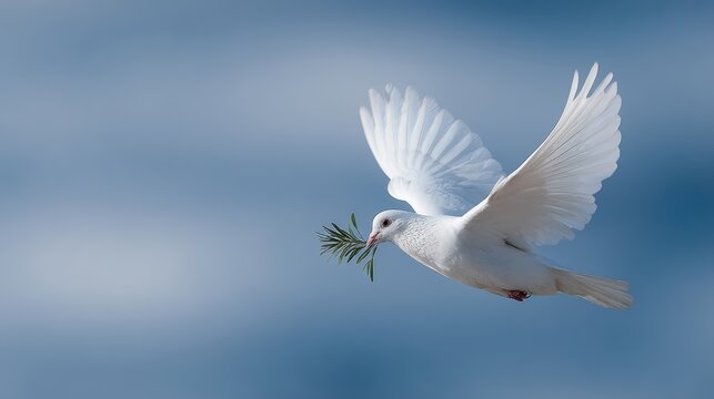 White dove carrying olive branch flying in blue sky, peace and hope symbolism