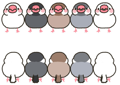 五種類の文鳥のイラストセット