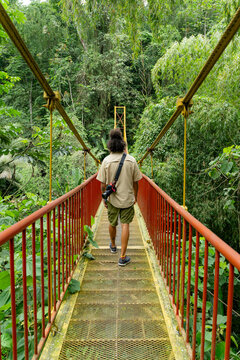 Man walking on hanging bridge in Circasia Botanical Garden
