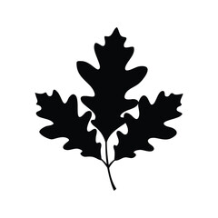 Naklejka premium Black and white oak leaf silhouette vector illustration design, oak cluster leaf silhouette vector illustration