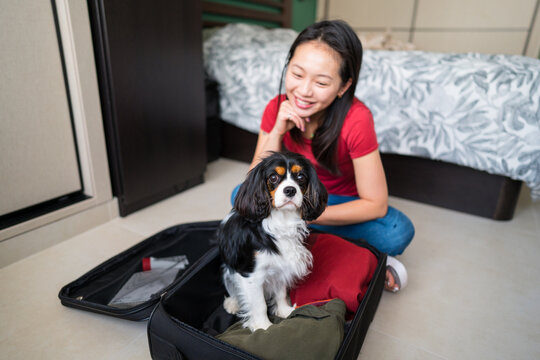 Asian woman packing suitcase with dog for pet travel