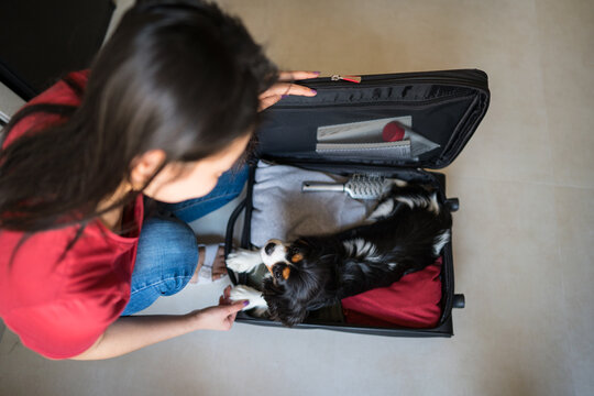 Woman packing suitcase with dog for a trip at home