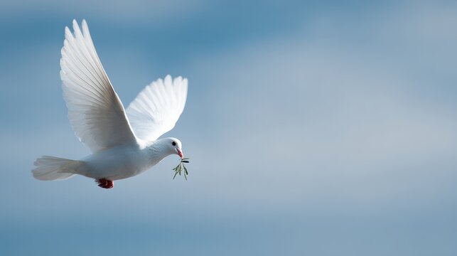 White dove carrying olive branch flying in blue sky, peace and hope symbolism