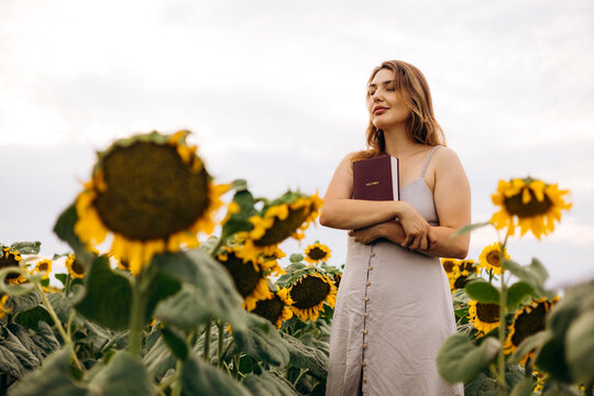 Woman holding Holy Bible in sunflower field at sunset
