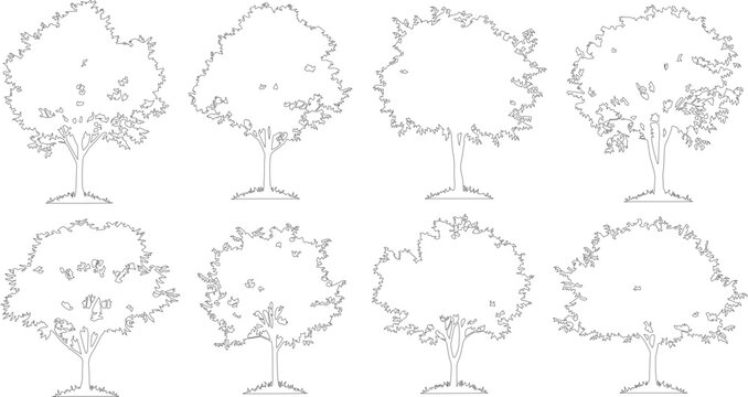 Minimalist tree outline vector set, black and white deciduous tree silhouettes, collection of 8 thin line tree icons for architectural site plans
