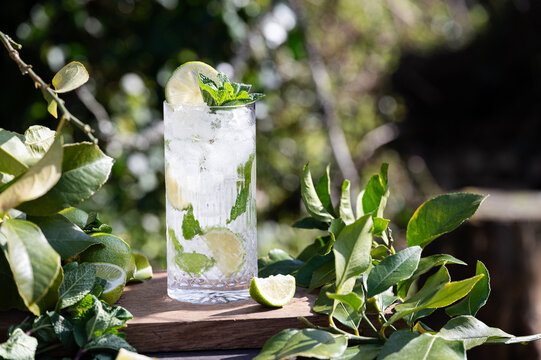 Fresh mojito cocktail with lime and mint on wooden board