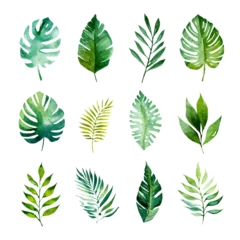 Artistic Watercolor Tropical Spring Green Leaves Collection for Creative Projects © Edward