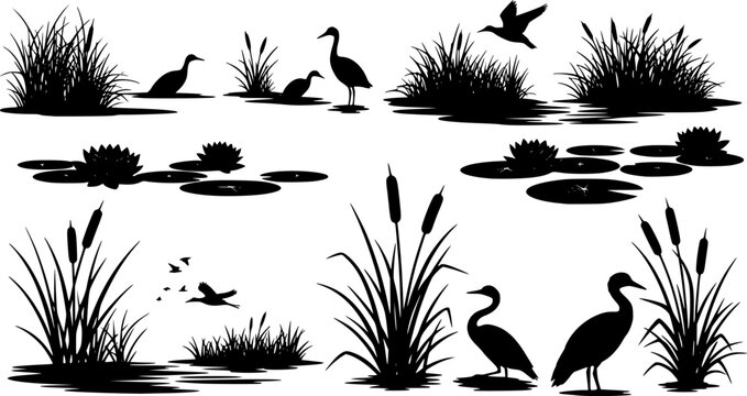 Silhouette of wetland scenery with birds, cattails, water lilies, and reeds in black and white style editable vector eps,ai