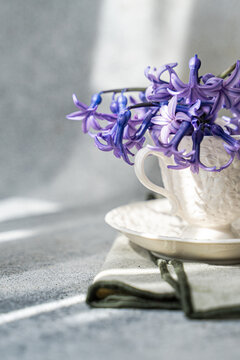 Purple hyacinth in delicate floral cup on table