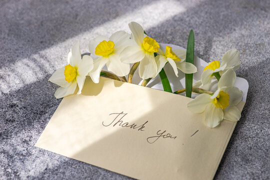 Daffodils and thank you card in sunlight