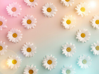 Obraz premium Flat lay pattern of white daisy flowers arranged on a soft gradient background, transitioning from pink, to blue with, a warm lens, flare effect