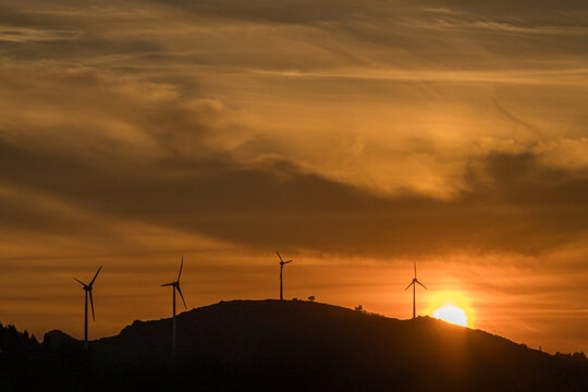 Wind turbines silhouetted against golden sunset sky