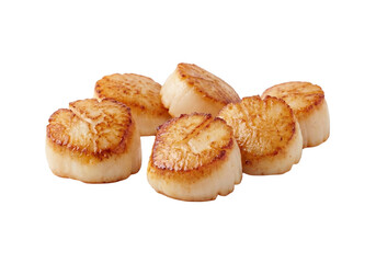 Fototapeta premium Pan Seared Scallops on White Background