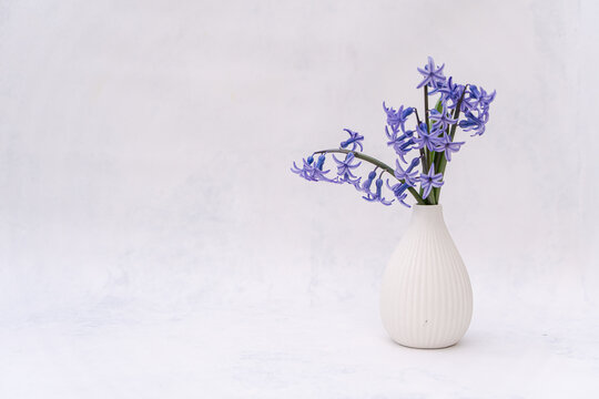 Purple hyacinth bouquet in white vase, minimal interior