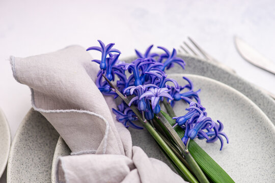 Hyacinth flowers on grey plates in modern interior table