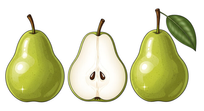 Vibrant vector illustration of three fresh, glossy, ripe green pears; one whole, one halved showing seeds, and one with a leaf and stem on transparent background. on transparent background