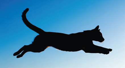 Black Cat Jumping on Blue Gradient Background Silhouette © ishfaquehussain