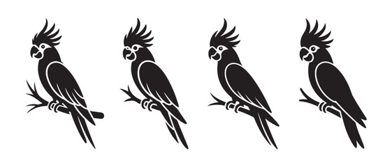 Fototapeta premium Black Cockatoo Parrot Silhouettes. Perched on Branches in a Minimalist Row on White Background.