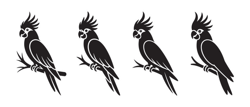 Black Cockatoo Parrot Silhouettes. Perched on Branches in a Minimalist Row on White Background.