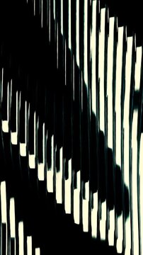 Vivid Alternating Black And White Stripes Produce Captivating Visual Illusions And Interference Patterns